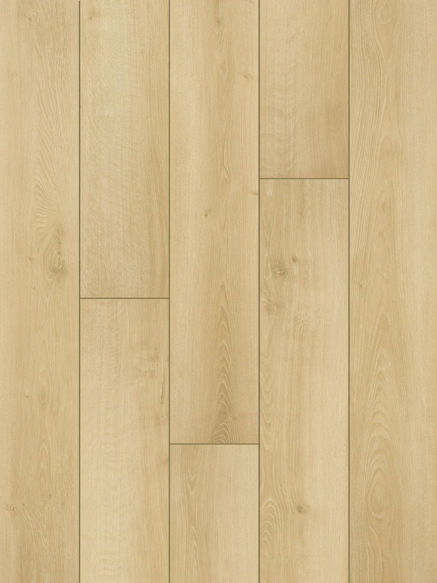 Classen AC5 Collection | Austin | 12mm | Classen | Laminate Flooring