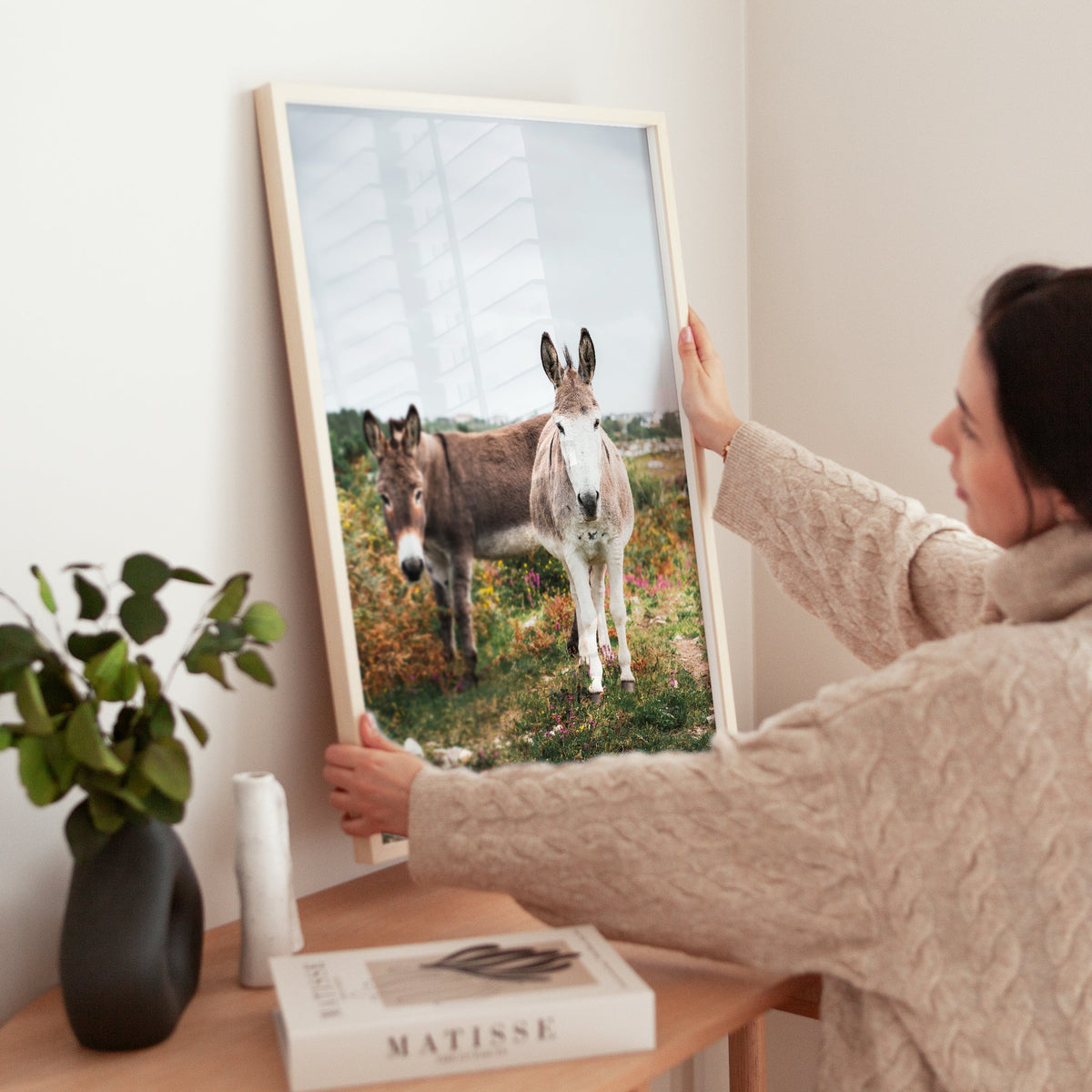 Irish Donkeys in Connemara – Galway, Ireland