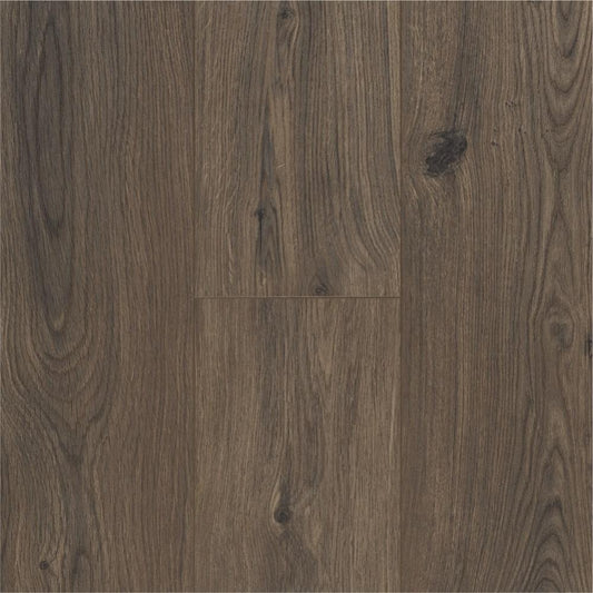 Ocean Plus | Gyant Dark Brown | 8mm | Ocean Plus | Laminate Flooring
