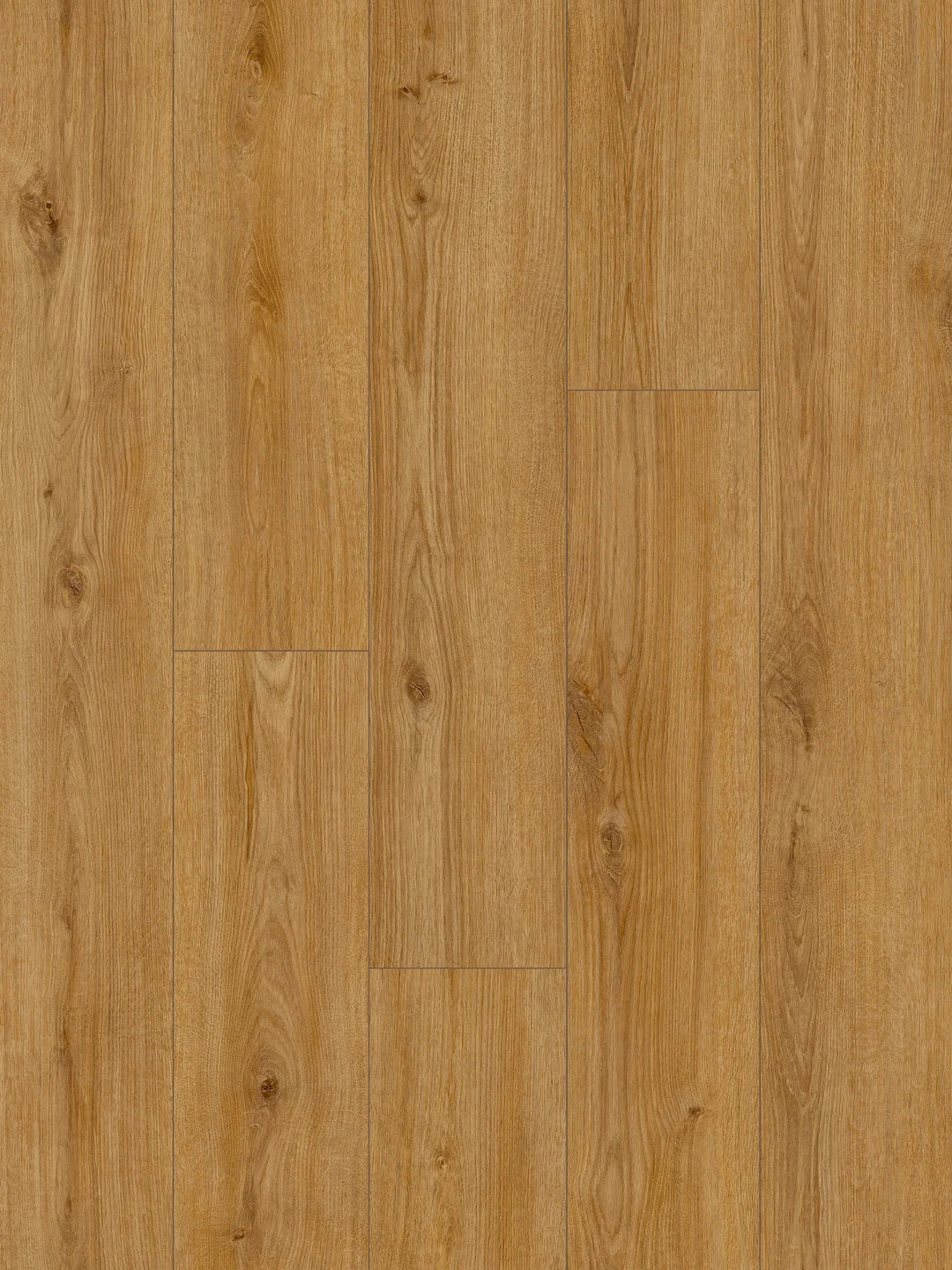 Classen AC5 Collection | Calvene | 12mm | Classen | Laminate Flooring