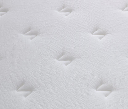 Serene Firm Orthopaedic Support