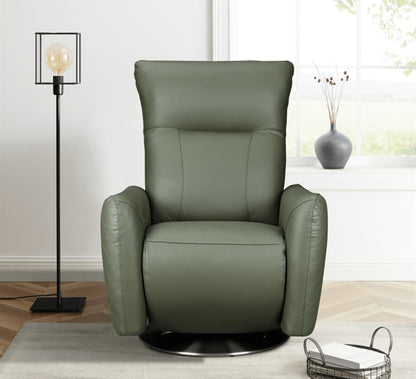 Monti Chair (Green Leather)