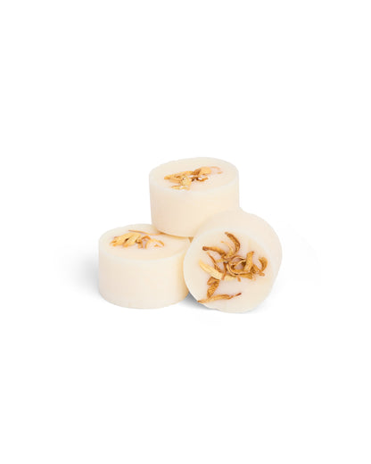 Botanical Wax Melts | The Orange Grove | Orange Blossom
