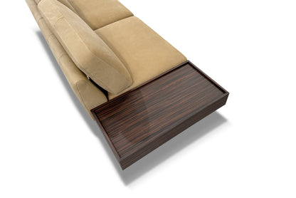 The Plane Limited Edition