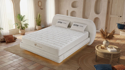 The Pegasus Luxury Ottoman Bed | Floating Base & LED Accent Lights