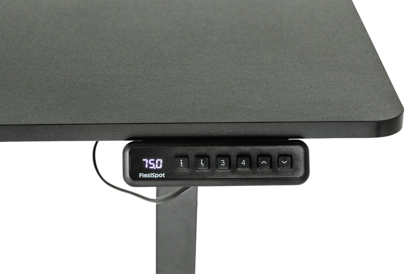 Dax Sit Stand