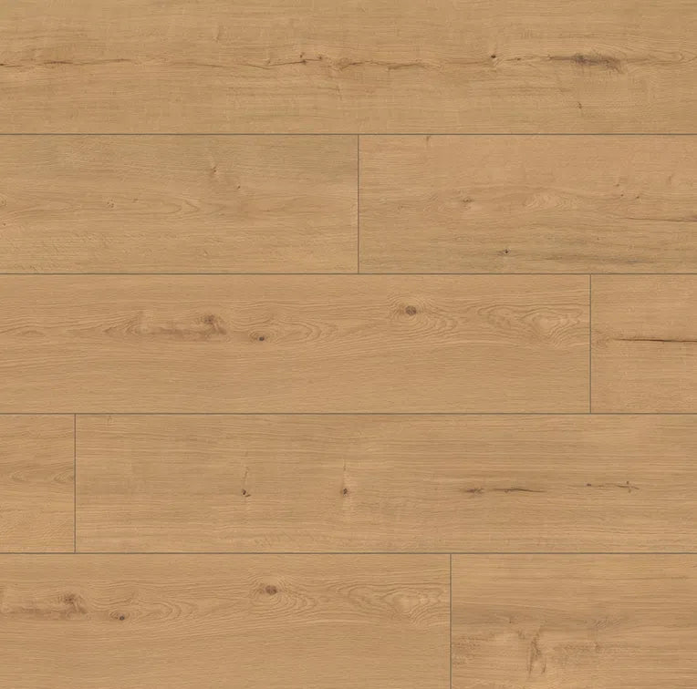 Classen Grande XXL Dynamic 10mm Laminate Flooring