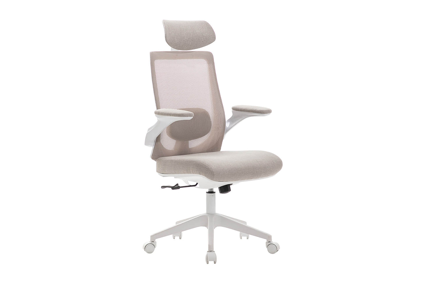Zeke Ergonomic Office