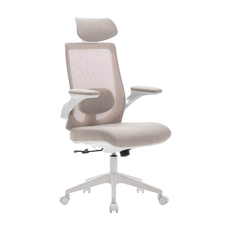 Zeke Ergonomic Office