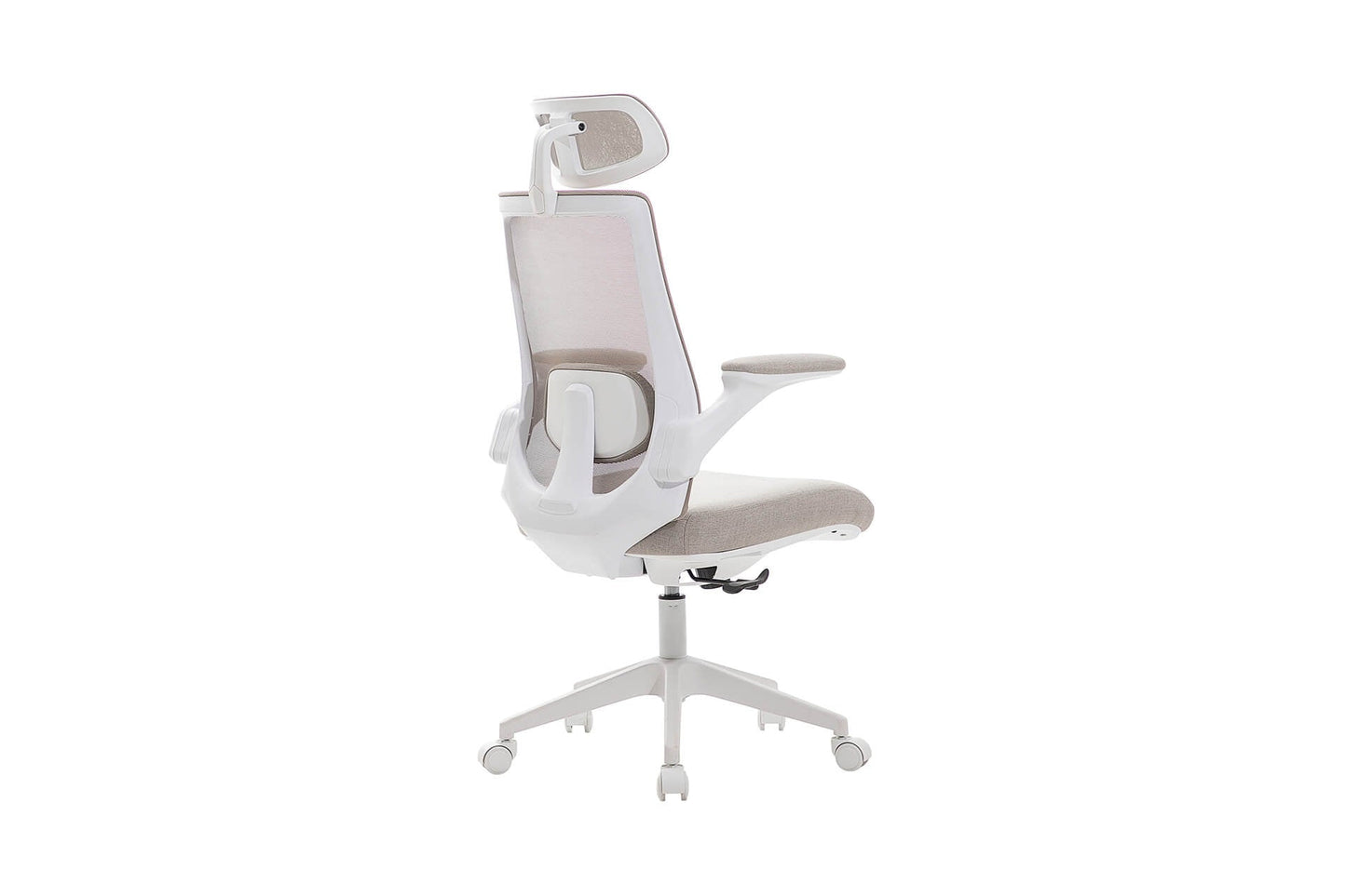 Zeke Ergonomic Office