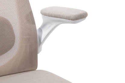 Zeke Ergonomic Office